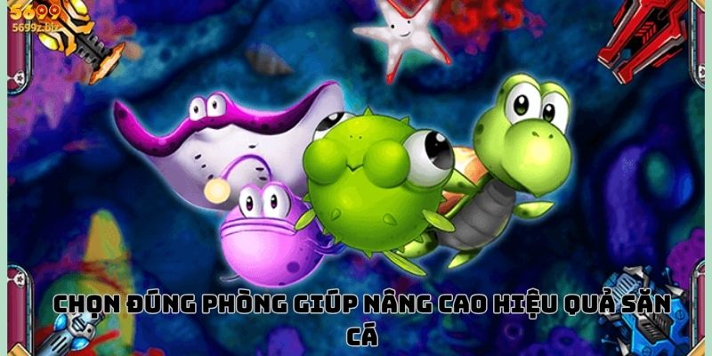 Chọn đúng phòng giúp nâng cao hiệu quả săn cá