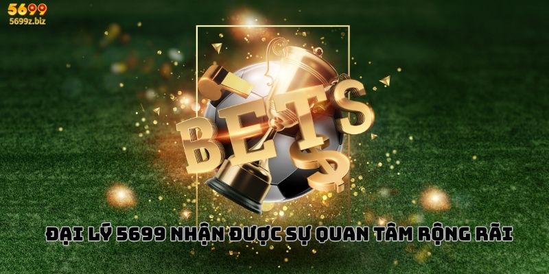 Đại lý 5699 nhận được sự quan tâm rộng rãi