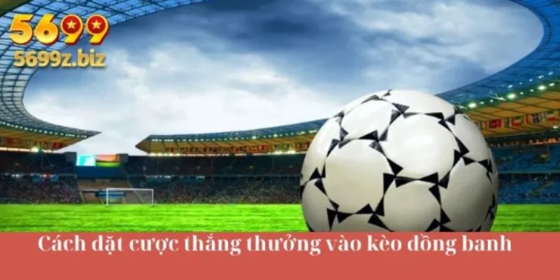 Cách đặt cược thắng thưởng vào kèo đồng banh