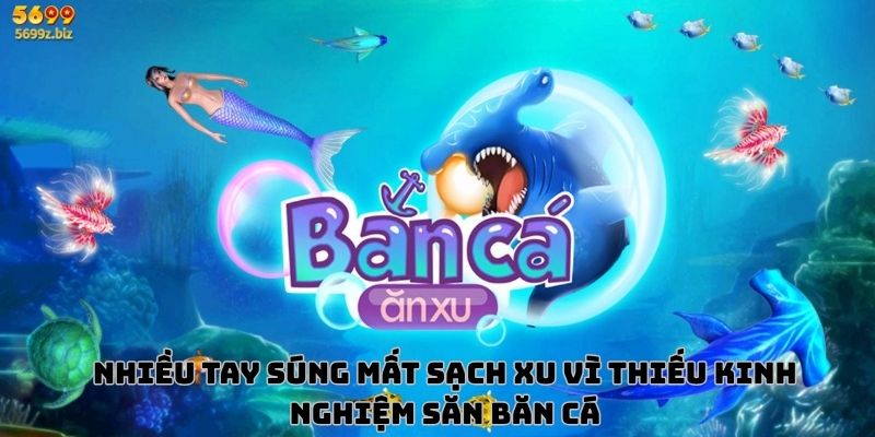 Nhiều tay súng mất sạch xu vì thiếu kinh nghiệm săn băn cá