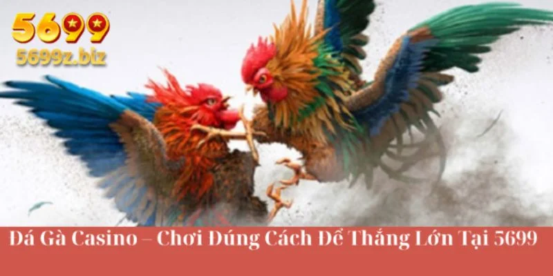 Đá gà casino