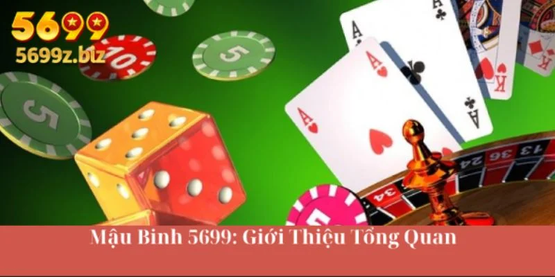 Mậu binh 5699: giới thiệu tổng quan